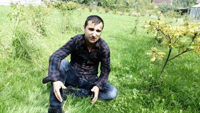 Модарҷон маро мешунави?.. смотреть онлайн