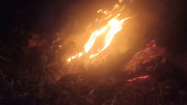 Ночной варган у костра. смотреть онлайн