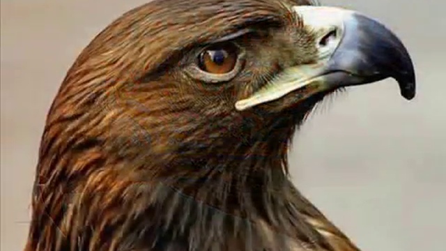 КЛЯТВА ПЕРУНУ.OATH Perun