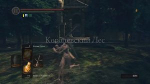 Как спасти щенка Сифа в Dark souls