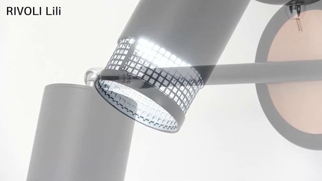 Светильник настенно-потолочный спот RIVOLI Lili 7020-702 2 * GU10 25 Вт поворотный с выключателем смотреть онлайн