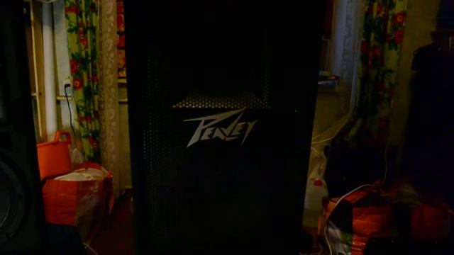 Peavey RX14™ Driver (Резьба) против P.Audio bm 450 смотреть онлайн