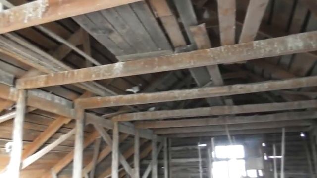Голуби рады встрече. Поезда идут близ нас. 10. 09. 2021 смотреть онлайн