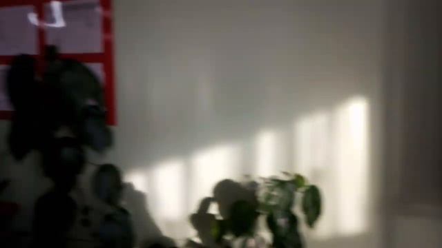 Снимаю что находится в ну три здания смотреть онлайн