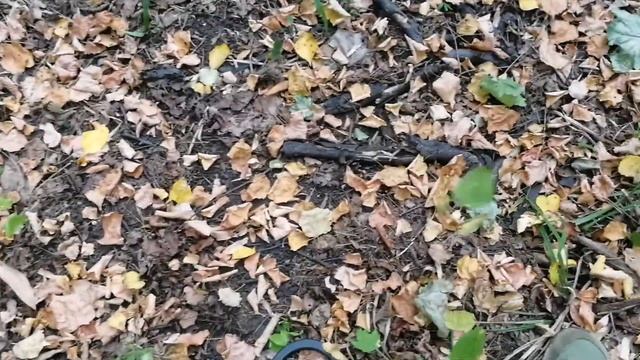 Как на Аське 250(150) отличить цветной сигнал от ржавого железа. смотреть онлайн