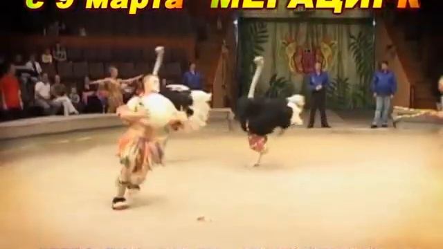 с 9 марта Мега Цирк в Челябинске смотреть онлайн
