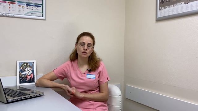 Собираемся в ветеринарную клинику