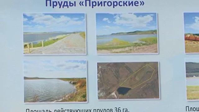 Хакасия обеспечит себя рыбой, считает Виктор Зимин смотреть онлайн