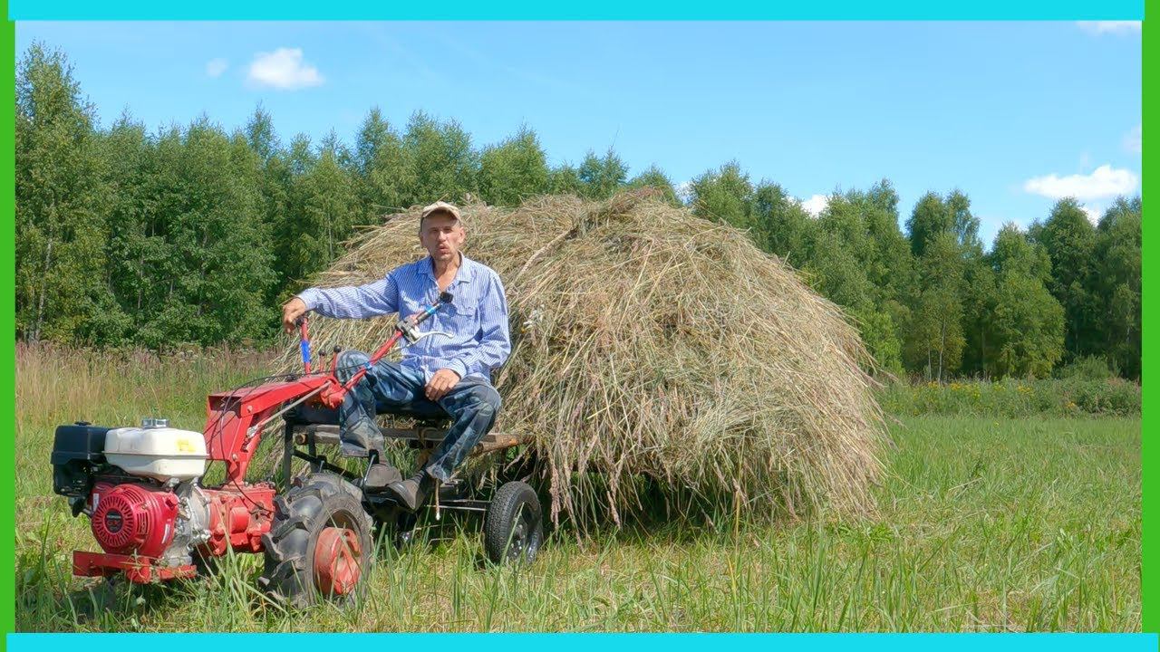 Колесим с "Беларусом" - заканчиваем сенокос и про будущее здесь! Жизнь в деревне смотреть онлайн