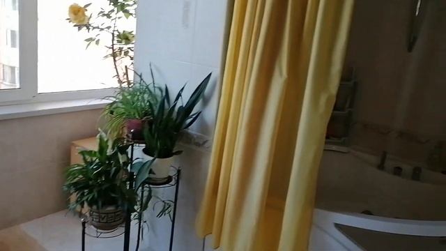 Савушкина, 135 к.4 смотреть онлайн