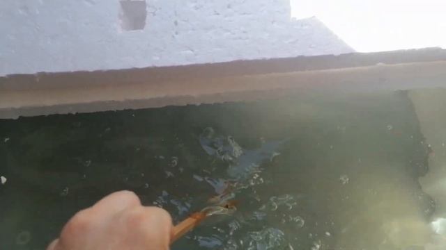 Простая домашняя гидропоника. Гидропоника по методу Кратки смотреть онлайн