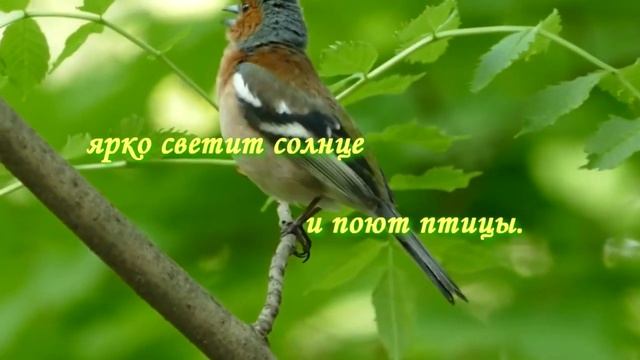 С праздником 8 Марта! Поздравление дорогим женщинам! смотреть онлайн