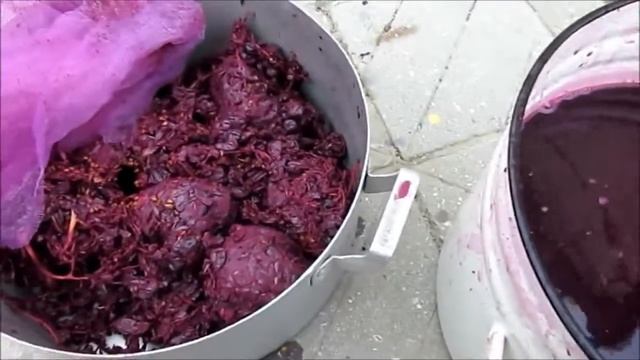 изготовления домашнего вина своими СВОИМИ РУКАМИ!!!!!!! смотреть онлайн