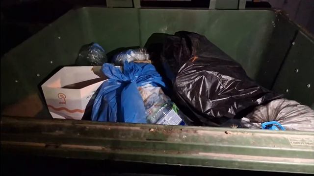 Штрэбух зарылся в помойке на СТРИМЕ и рычал там 3 минуты смотреть онлайн