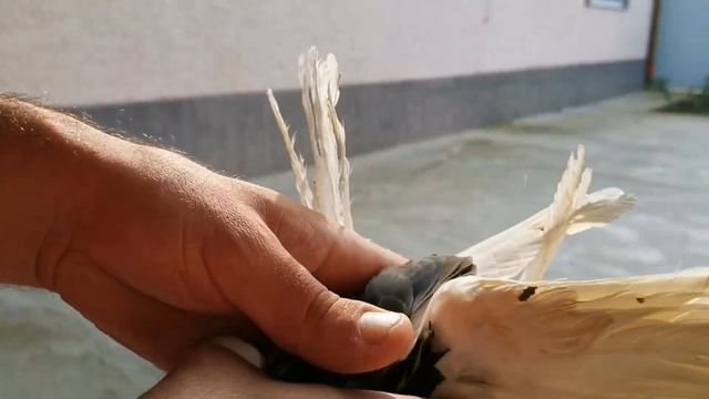 В голубятню залетел чужой голубь. Dovecoop flew a foreign dove смотреть онлайн