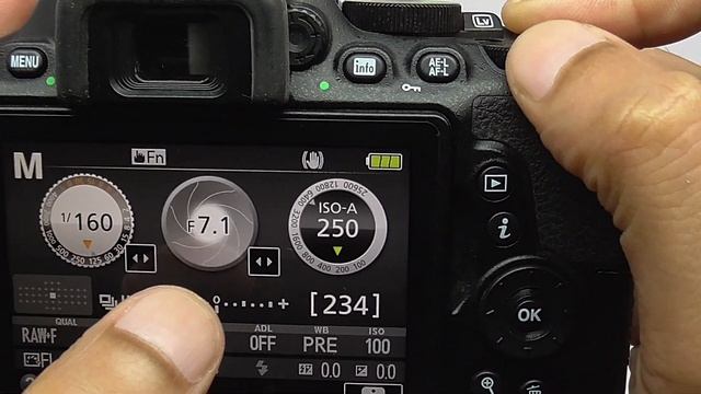How to adjust Shutter speed, ISO and Aperture in Nikon D5600 смотреть онлайн