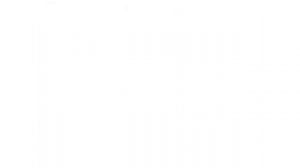 Ты    архитектор проектирование города  Архитектурный замысел и его осуществление