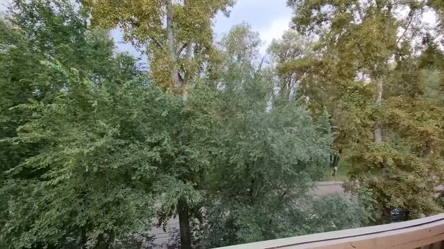 Абакан, ул. Ивана Ярыгина, д. 26. Продажа квартиры от агентства недвижимости Брокер Плюс. смотреть онлайн