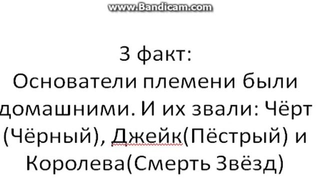 5 фактов о племени Чёрных Роз смотреть онлайн