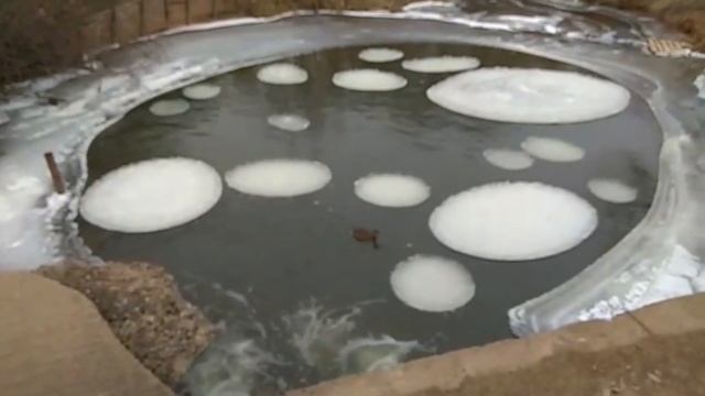 Осенний вальс круглого льда смотреть онлайн