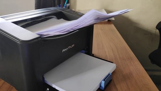 Pantum Printer P2500w