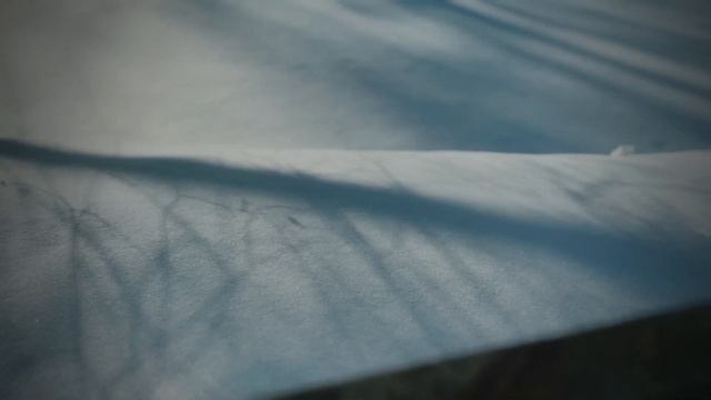 А. С. Пушкин. Зимнее утро смотреть онлайн