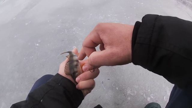 ОЦЕ КЛЮВАЛО!Попав на жор хижака в "ГЛУХОЗИМЬЕ"/Зимова риболовля на Поліссі 2022-2023 смотреть онлайн