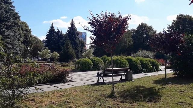 МОЙ ЛЮБИМЫЙ. БРИТАНСКАЯ ШИНШИЛЛА ПОИНТ. КОТ. КОТЯТА. ПИТОМНИК КОШЕК. #cat #kitten #britishcats смотреть онлайн