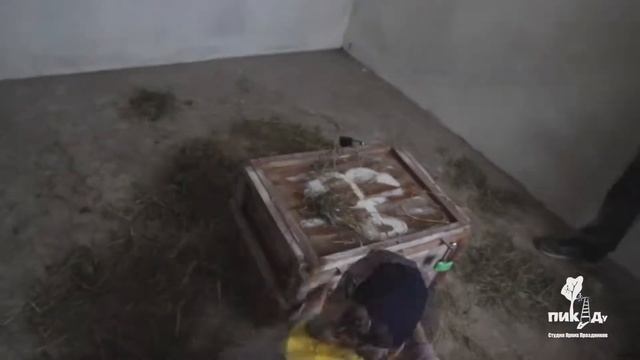 Детский праздник "Форт Боярд" смотреть онлайн