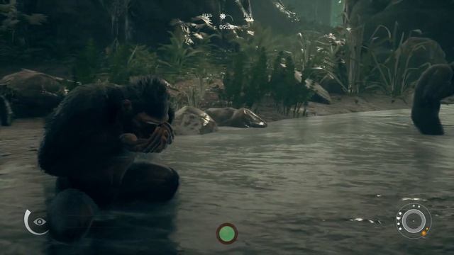 Ancestors: The Humankind Odyssey часть 1 - первые шаги человечества (прохождение)