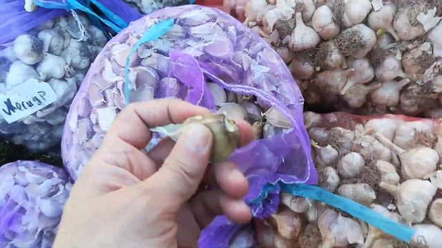 Результат хранения чеснока 2020 смотреть онлайн