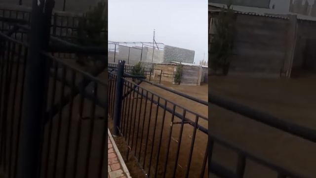 VID 20200202 115921 смотреть онлайн