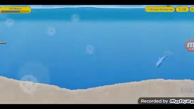 На дельфина охотится дельфина дельфин отомстит а игре Tasty Blue смотреть онлайн