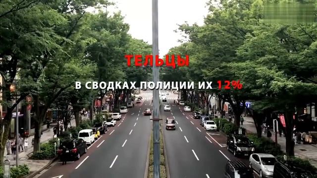 ВОДИТЕЛИ И ЗНАКИ ЗОДИАКА смотреть онлайн