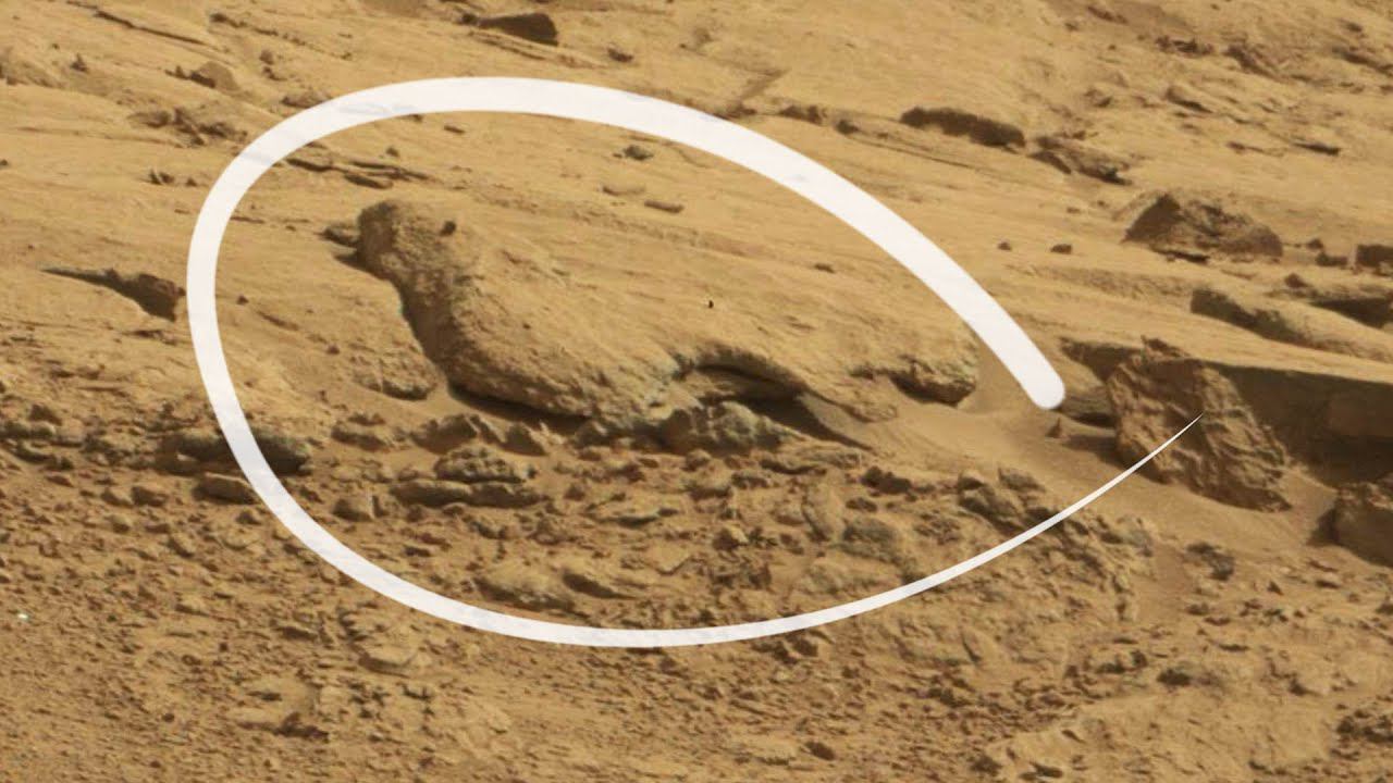 Каменная птица на Марсе? Необычное фото марсохода Curiosity (Кьюриосити) смотреть онлайн