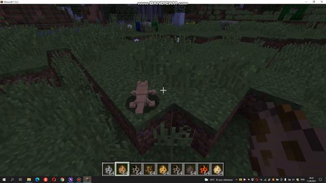 КРУТОЙ МОД НА ЖИВОТНЫХ ОБЗОР МОДОВ 2 смотреть онлайн