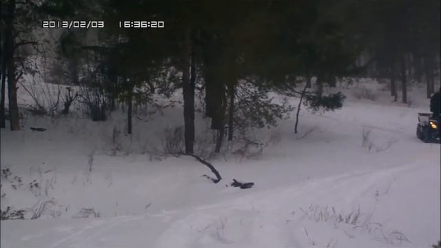 Зимние прокулки на квадроциклах.wmv смотреть онлайн