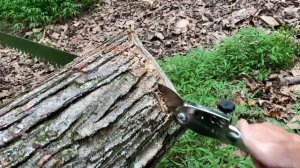 Review: Silky Katanaboy 650