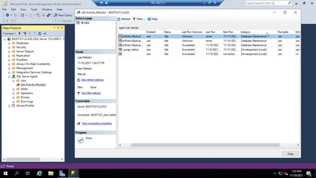 Using the SQL Server Job Activity Monitor смотреть онлайн