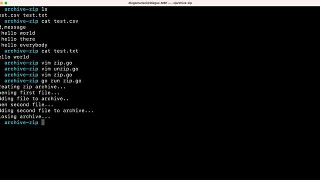 Go (Golang) Zip Archive Tutorial смотреть онлайн