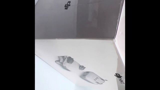 DJI Mini 2 Fly More Combo Unboxing and Setup смотреть онлайн