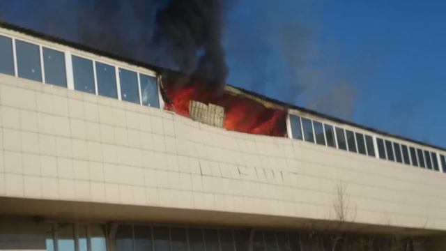 28 марта 2016 г. смотреть онлайн