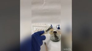 Опыт №4. Получение диэтилового эфира