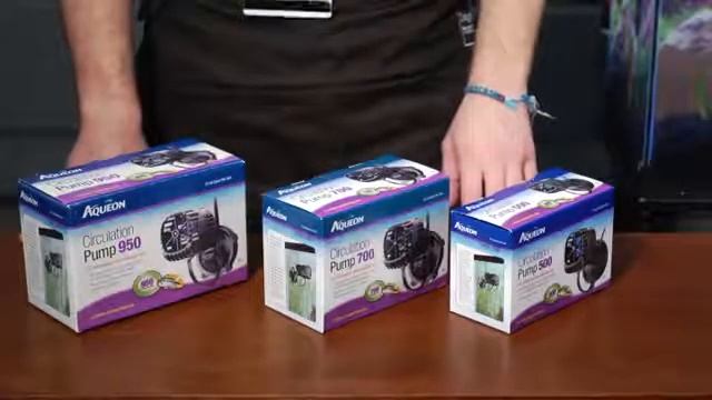 How to Install a Submersible Pump in an Aquarium смотреть онлайн