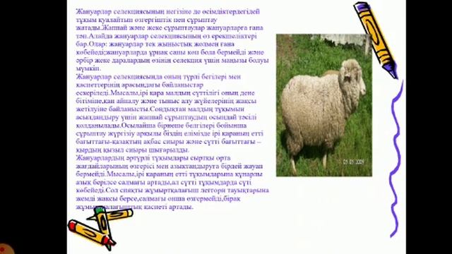 ҚАТК Қазалы. Биология. Селекция әдістері. Құрмашева Салтанат Ниязқызы смотреть онлайн