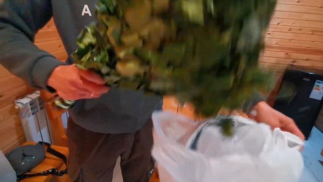 КАК РАЗНООБРАЗИТЬ ВЕЧЕР БУДНИХ ДНЕЙ. Поехали в баню. Путешествие закончилось, но мы не унываем. Vlo