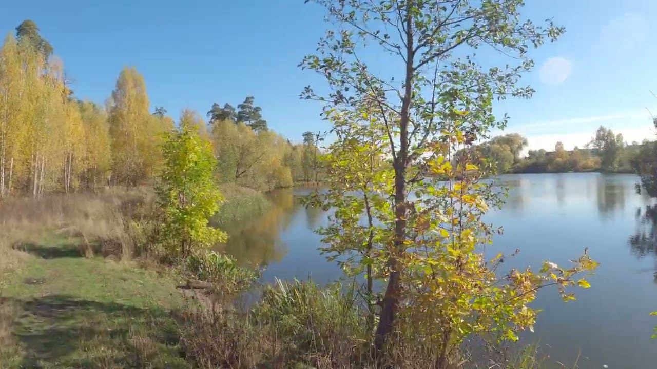 10.10.2022_2 смотреть онлайн