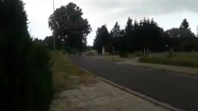 Big dog k9 Poland смотреть онлайн