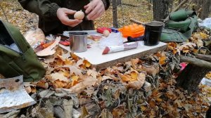 СТРОЙКА ЗЕМЛЯНКИ  , вывел каркас землянки, БУШКРАФТ, утренний завтрак, землянка в лесу