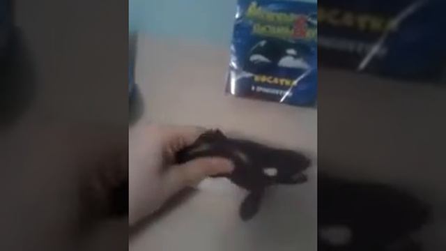 Морские гиганты и ко макси смотреть онлайн